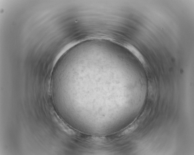 X0000089371052200707061109