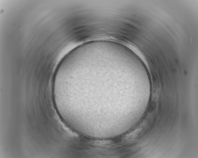 X0000089371053200707061109