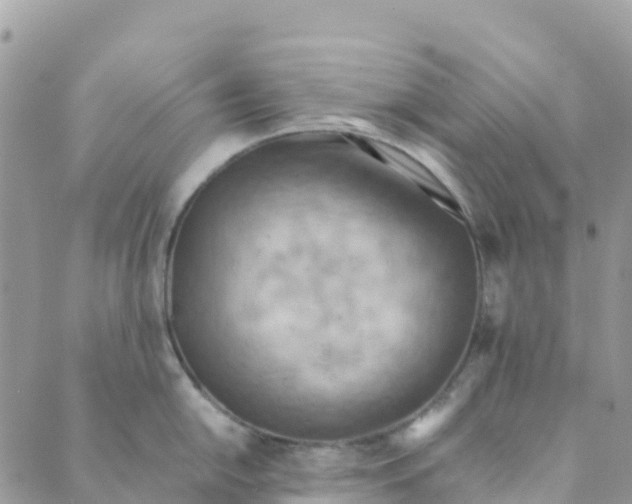 X0000089371054200707061109