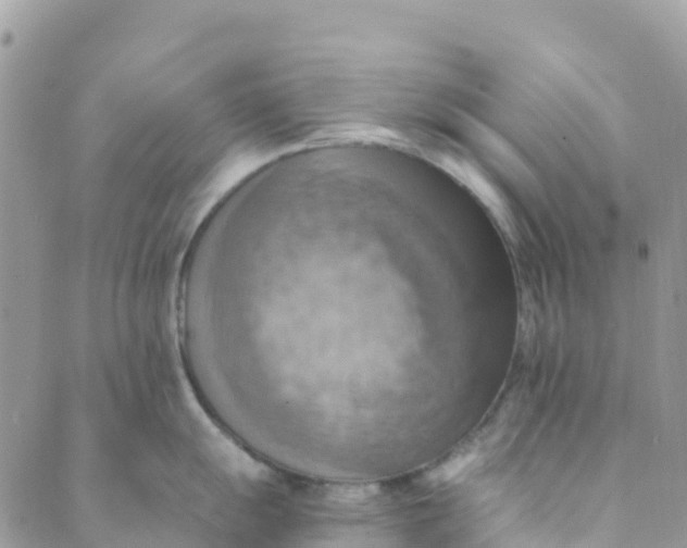 X0000089371055200707061109