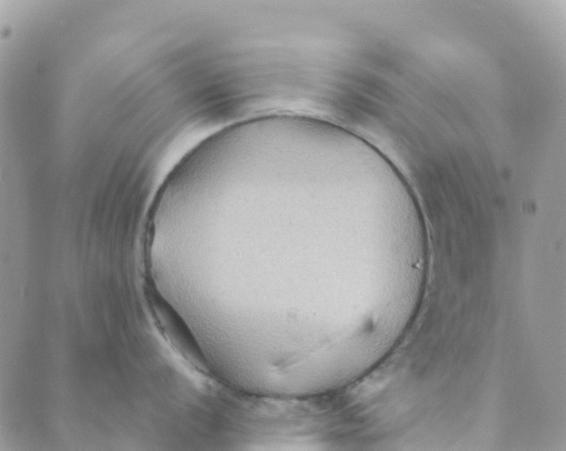 X0000089371056200707061109