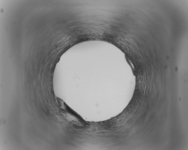 X0000089371057200707061109