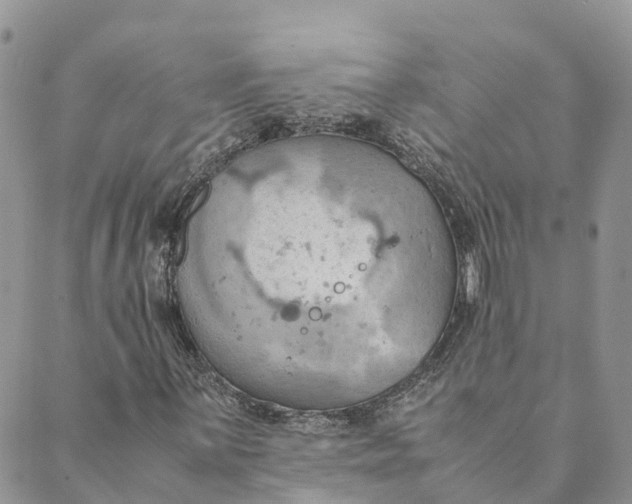 X0000089371059200707061108