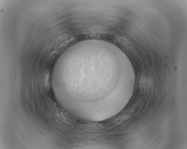 X0000089371060200707061108