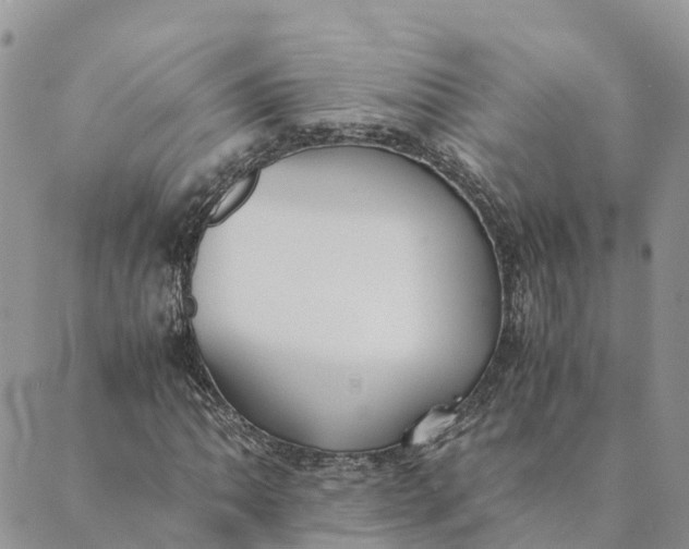 X0000089371062200707061108