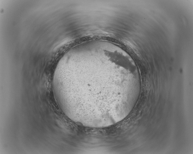 X0000089371063200707061108