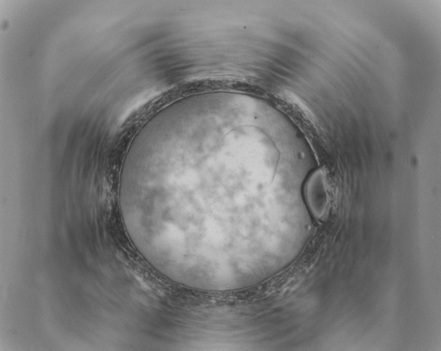 X0000089371064200707061108