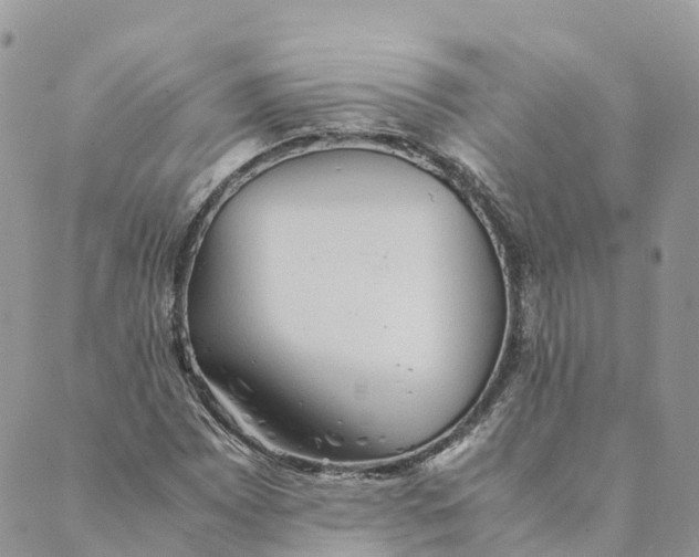 X0000089371065200707061108