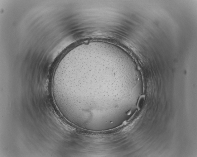 X0000089371066200707061108