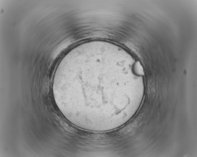 X0000089371067200707061108