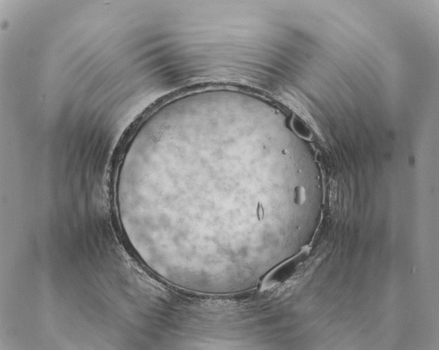 X0000089371068200707061108