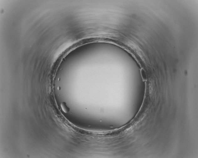 X0000089371069200707061108