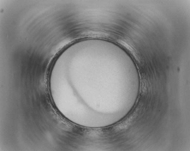 X0000089371074200707061108