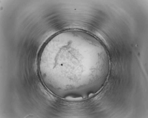 X0000089371076200707061108