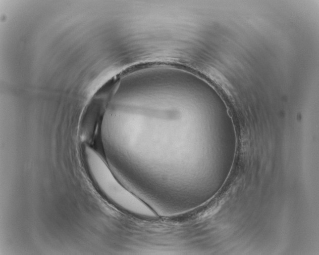 X0000089371077200707061108