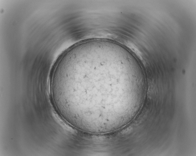 X0000089371080200707061108