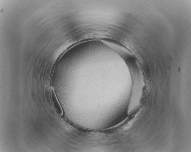 X0000089371081200707061108