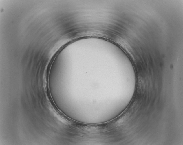 X0000089371082200707061108