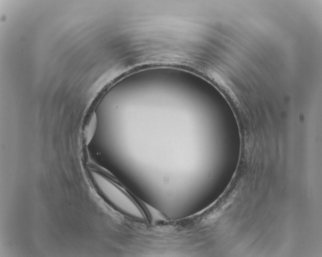 X0000089371085200707061108