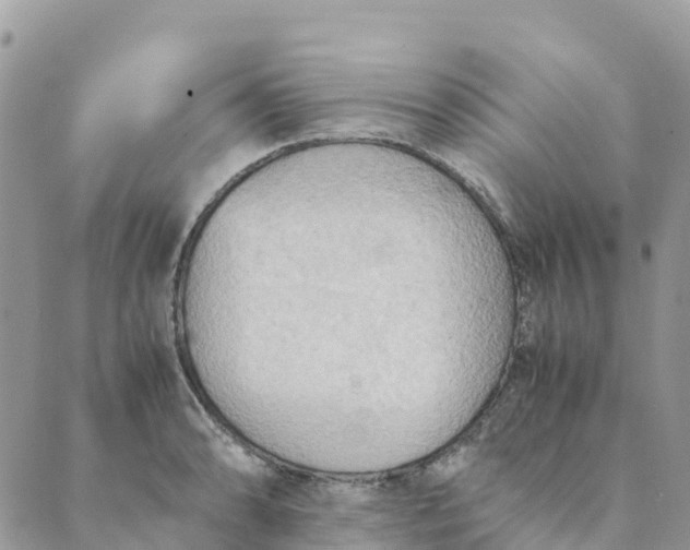 X0000089371086200707061108