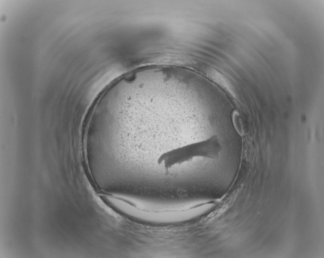 X0000089371087200707061108