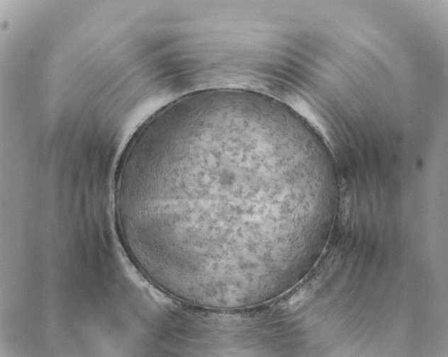 X0000089371088200707061108