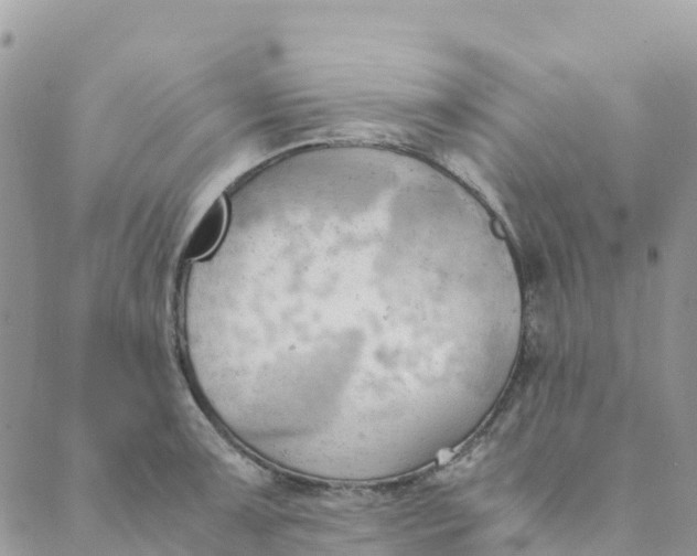 X0000089371091200707061108