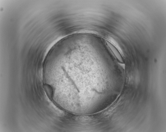 X0000089371092200707061108