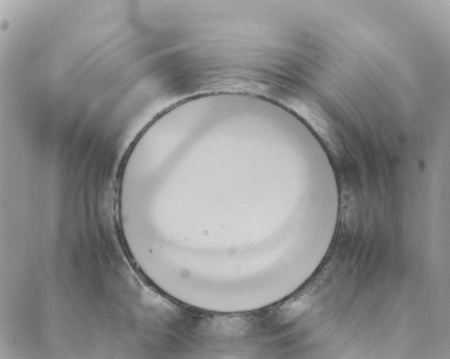 X0000089371094200707061108