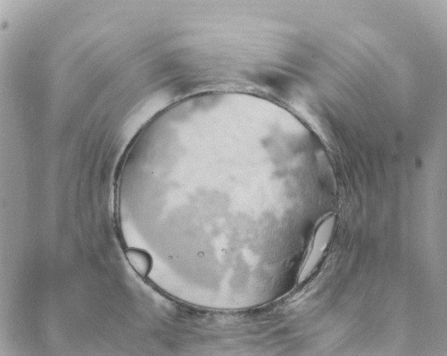 X0000089371095200707061108