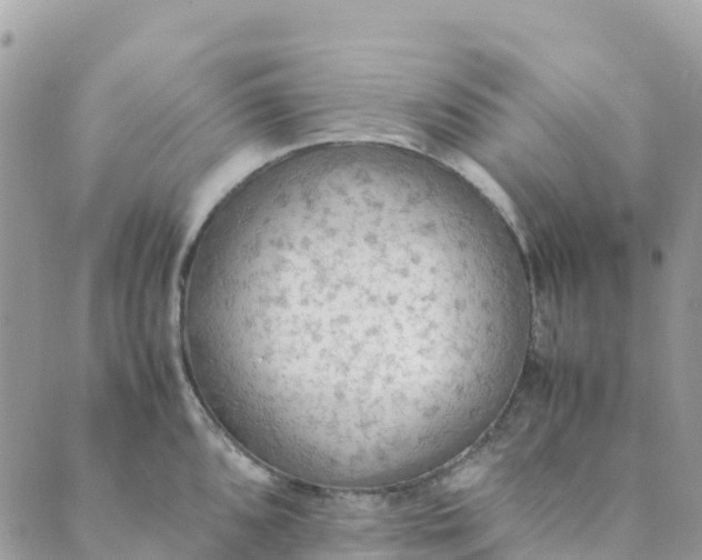 X0000089371096200707061108