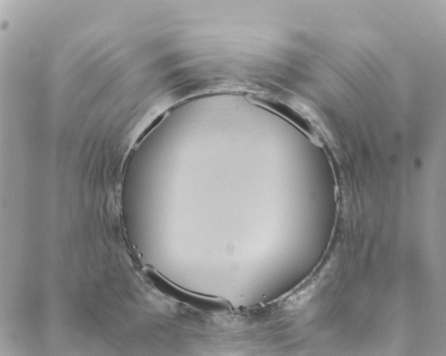 X0000089371097200707061108