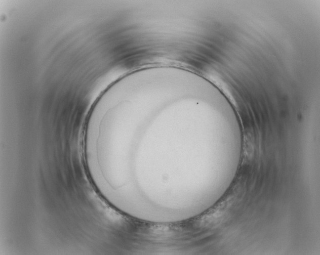 X0000089371098200707061108