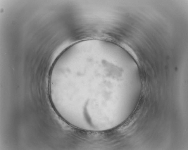 X0000089371099200707061108