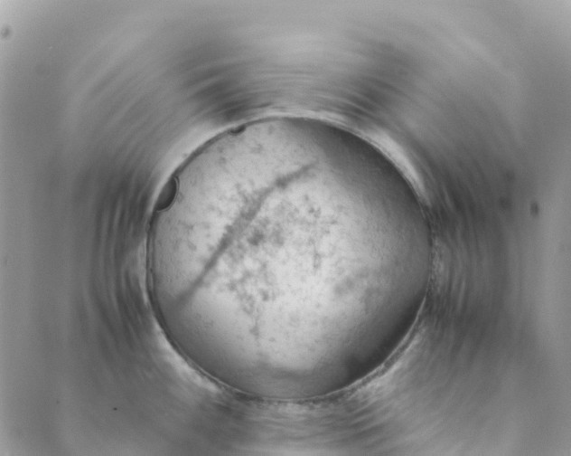 X0000089371100200707061108