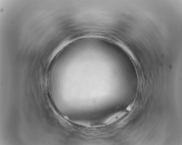 X0000089371101200707061108