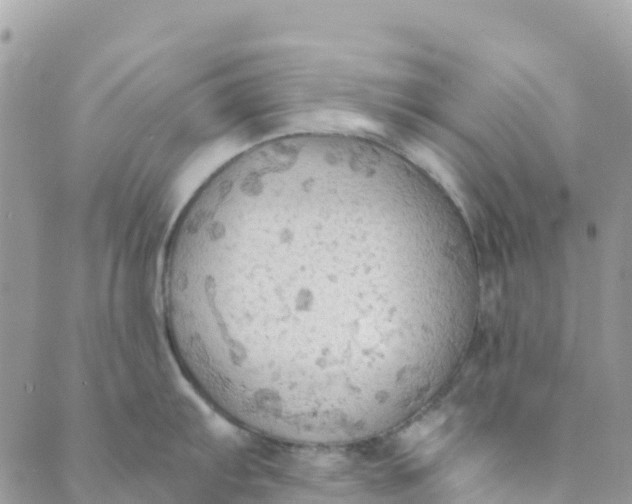 X0000089371103200707061108