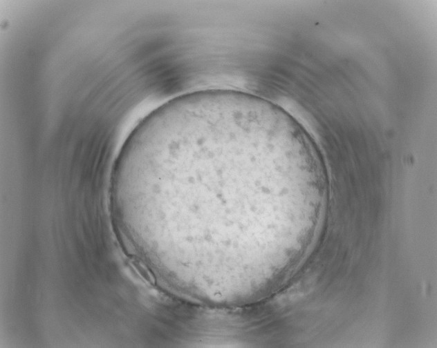 X0000089371104200707061108