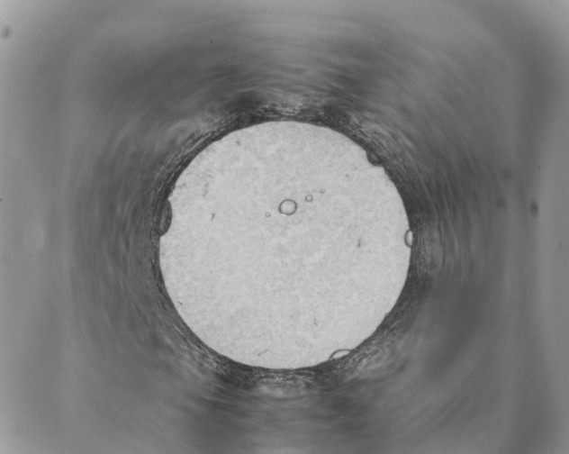 X0000089371105200707061107