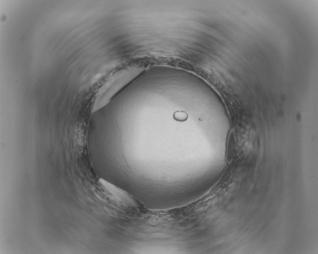 X0000089371110200707061107