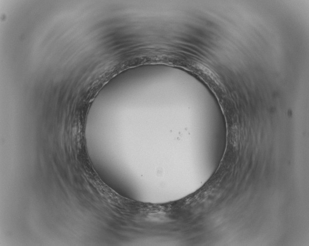 X0000089371111200707061107