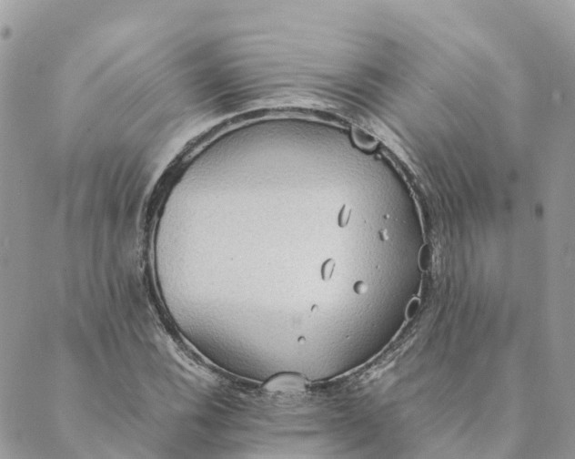 X0000089371116200707061107