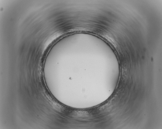 X0000089371119200707061107