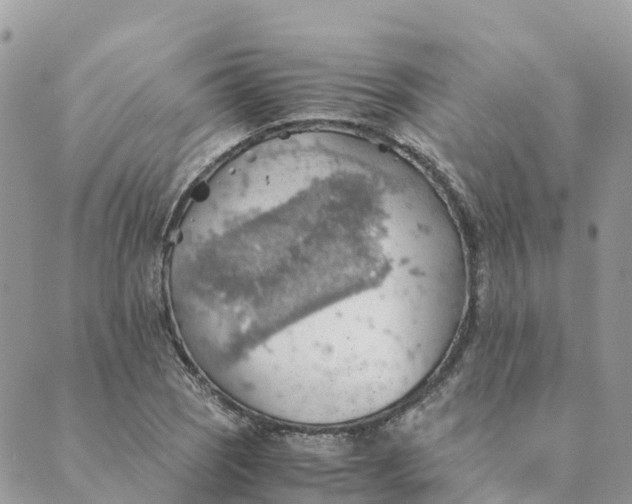 X0000089371121200707061107