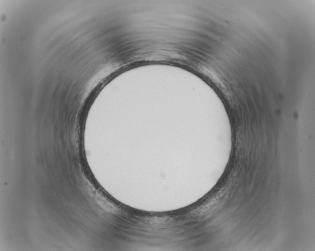 X0000089371122200707061107