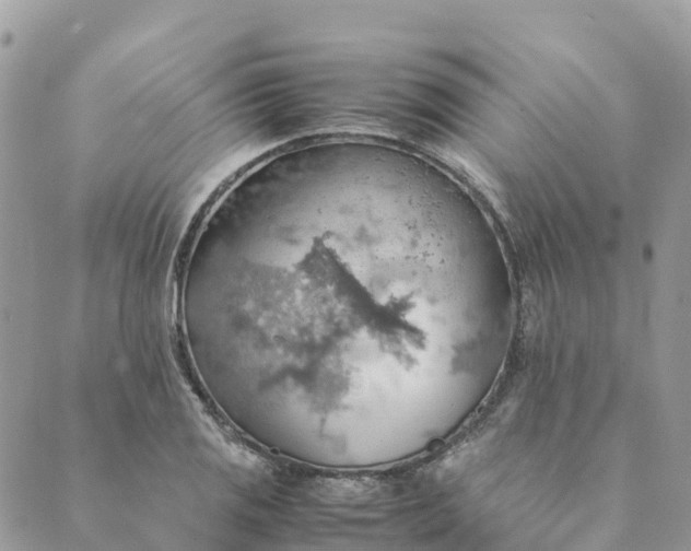 X0000089371125200707061107