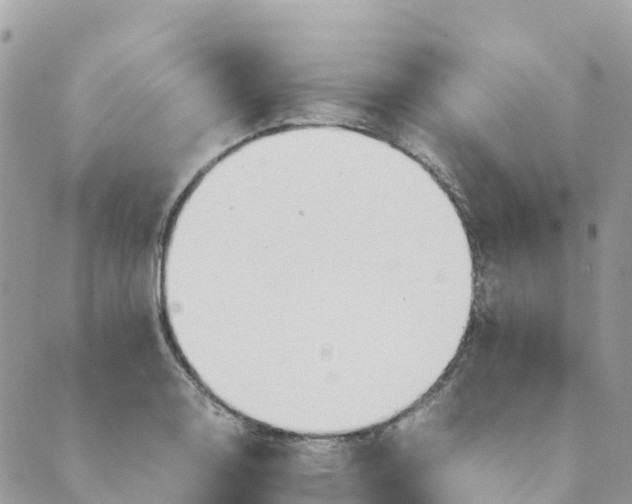 X0000089371130200707061107