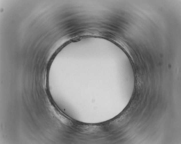 X0000089371131200707061107