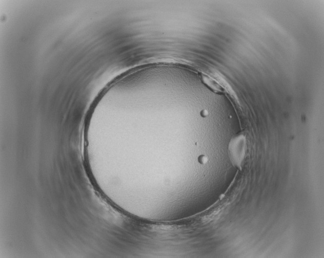 X0000089371132200707061107