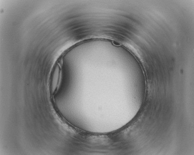 X0000089371133200707061107